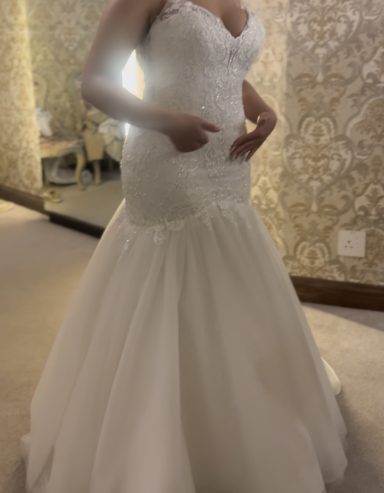 Elegant Wedding dress – ReBride