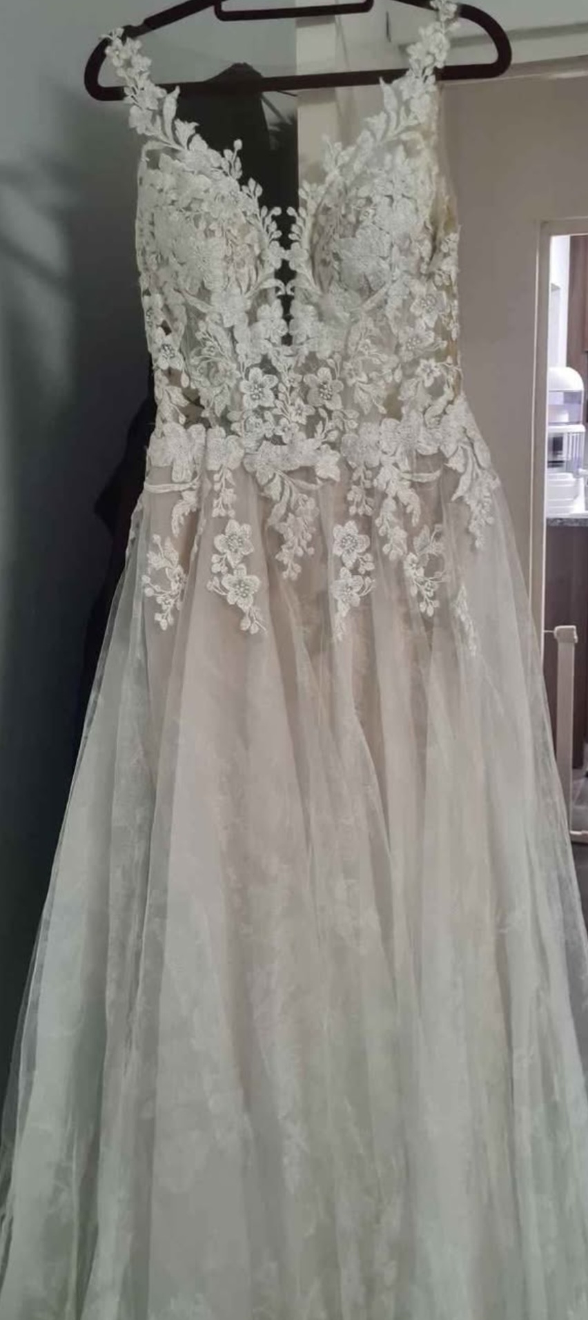 Wedding Dress and Veil