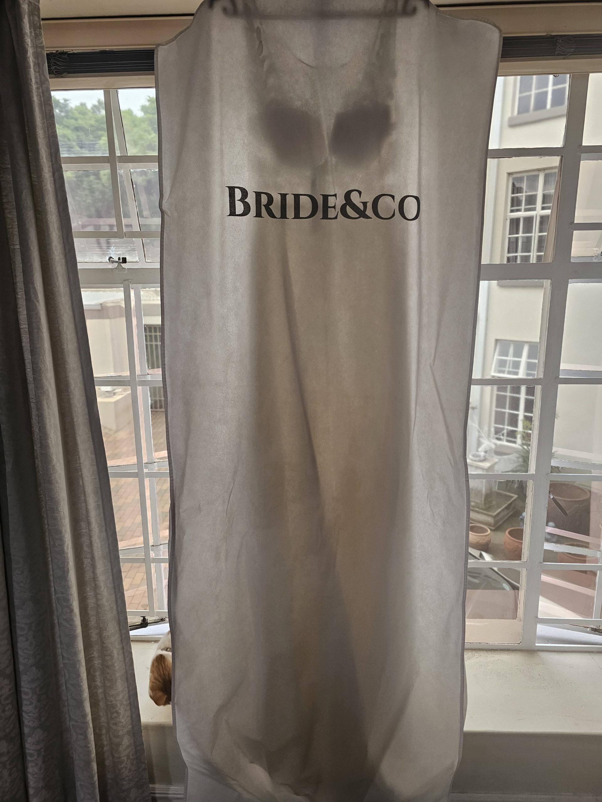 Viola Chan Wedding dress